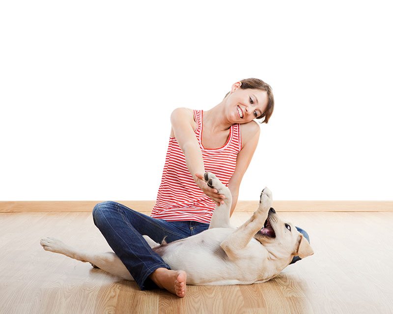 Descubre las mejores actividades para disfrutar con tu perro