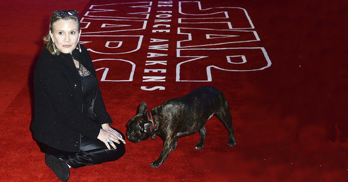 Gary Fisher echa de menos a Carrie