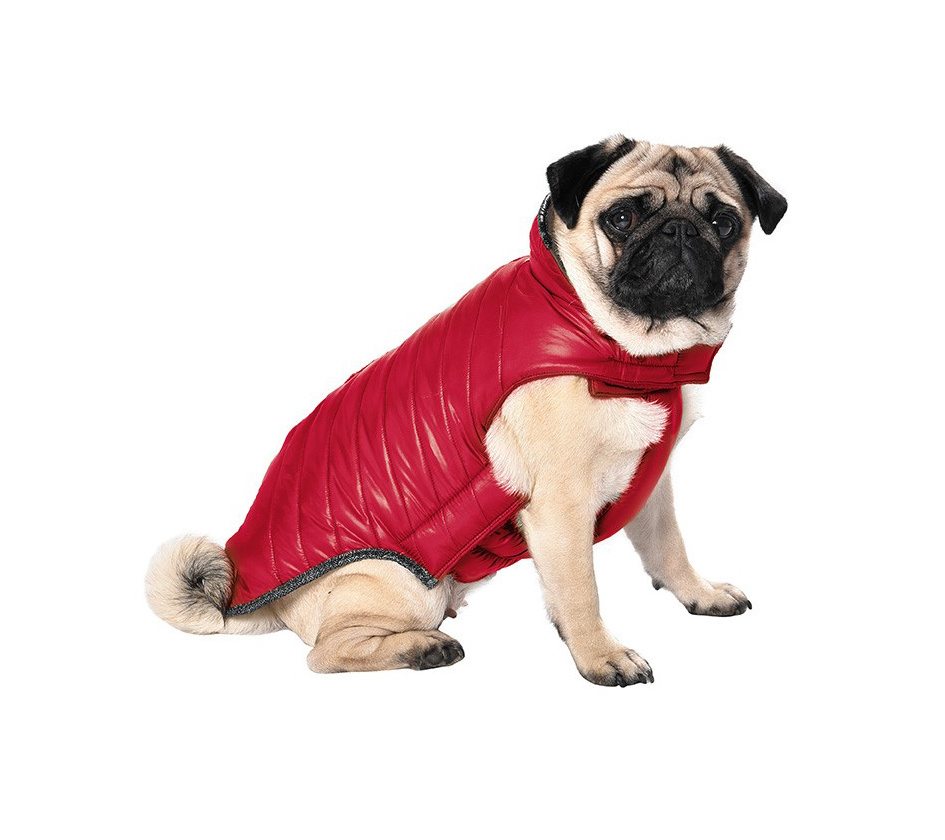 ROPA PARA PERROS