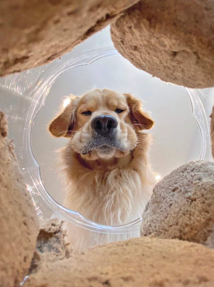 'The moment you realize you've gone through half a jar of snacks'