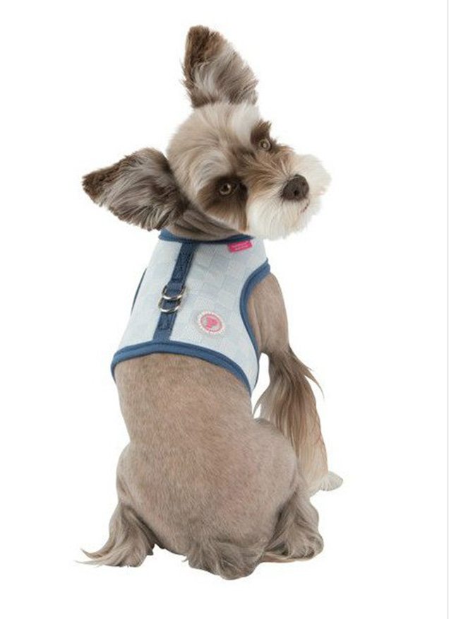 Accesorios para perros