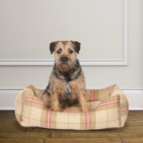Camas para perros: Todo lo que debes saber