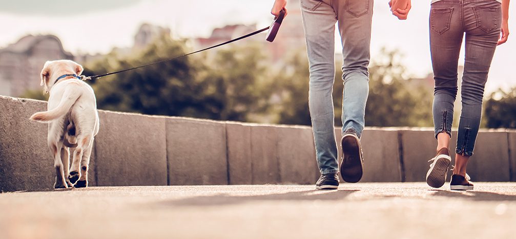 Alemania obligará a pasear a los perros dos veces al día