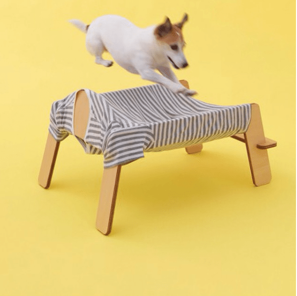 Los arquitectos sacan su lado perruno
