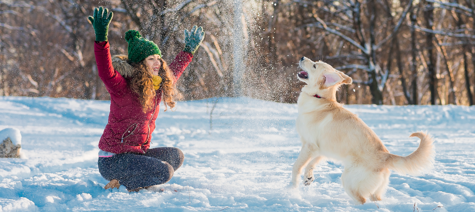 NIEVE MASCOTA