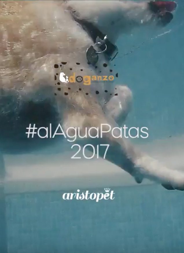 AL AGUA PATAS 2017 | DOGANZO