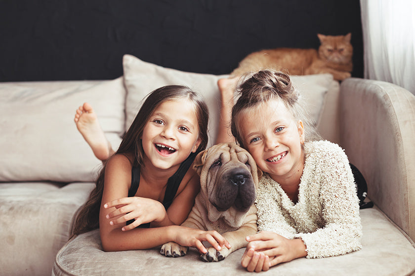 ¿Prefieren los niños a sus ARISTOPETS antes que a sus hermanos?