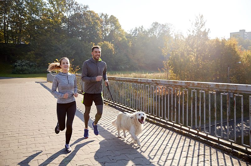 Las mejores apps para salir a correr con tu perro