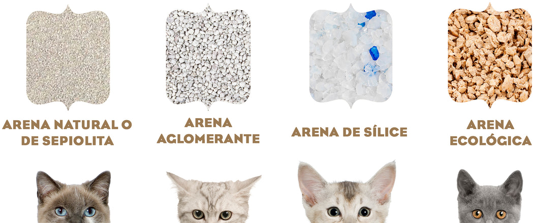 Cómo elegir la mejor arena para nuestro gato