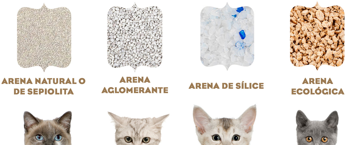 Cómo elegir la mejor arena para nuestro gato