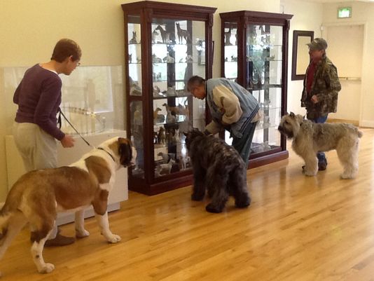 museo canino escultura cuatro patas