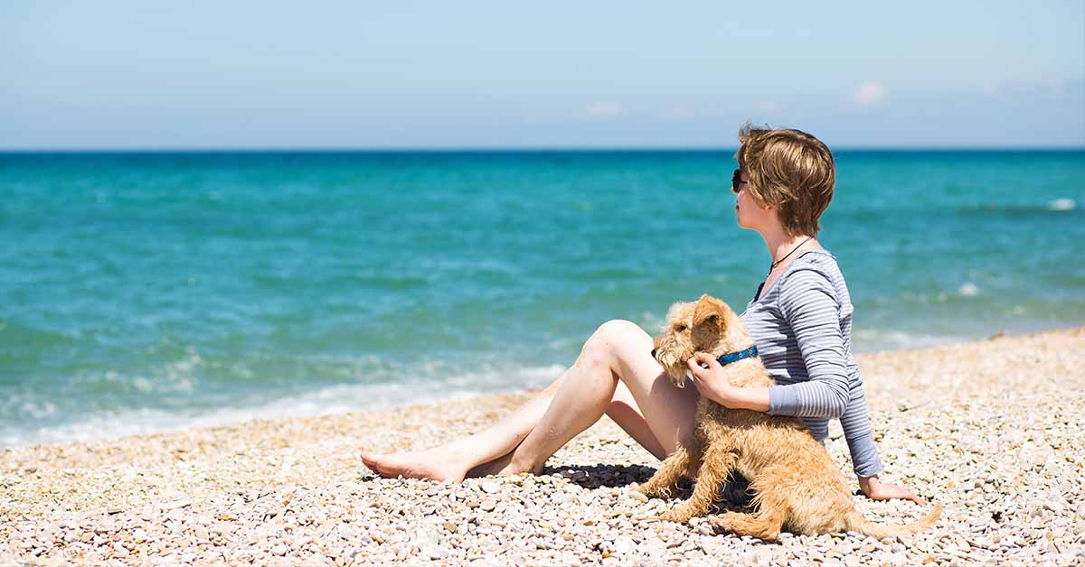 playa para perros