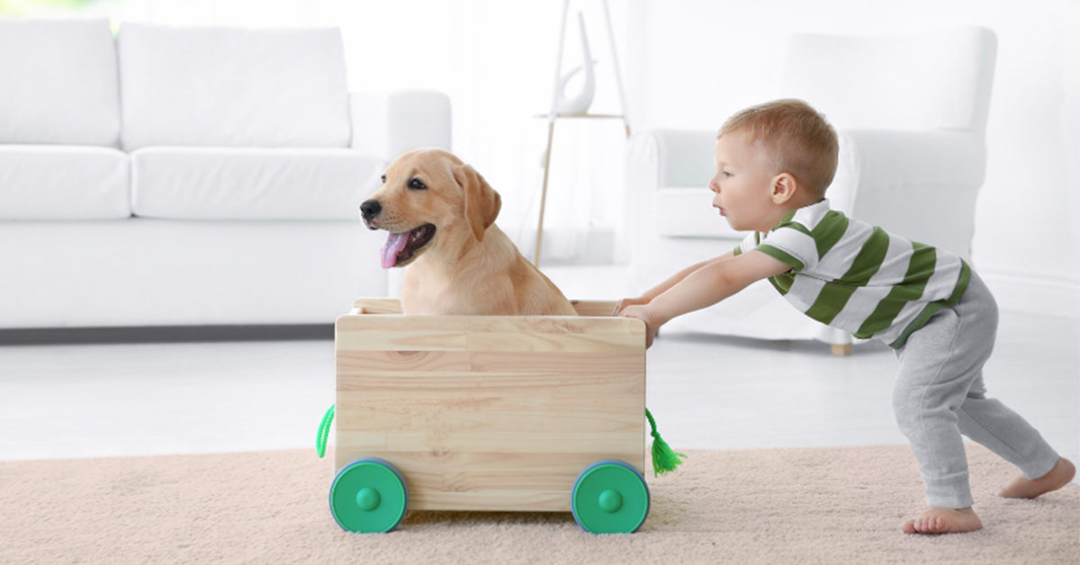 La ventaja de criarse con perros