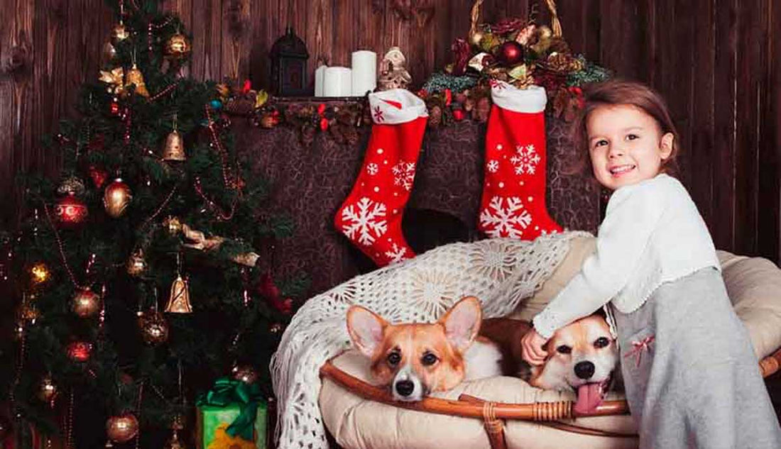Los mejores regalos de Navidad para mascotas