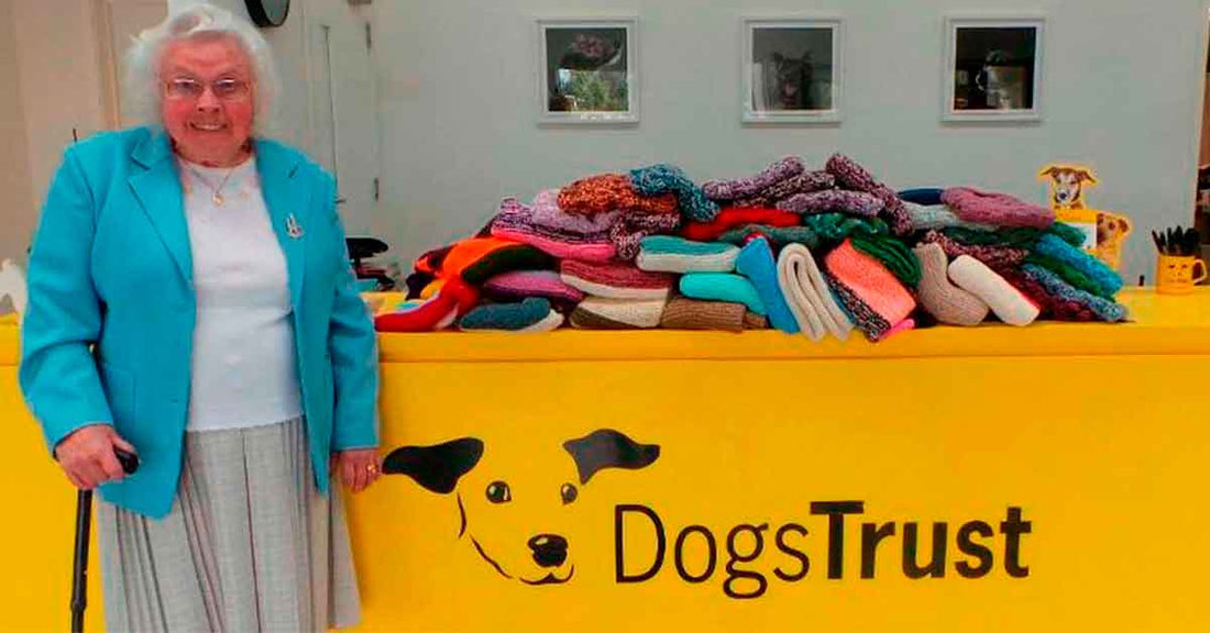 Una abuelita teje 45 abrigos para perros