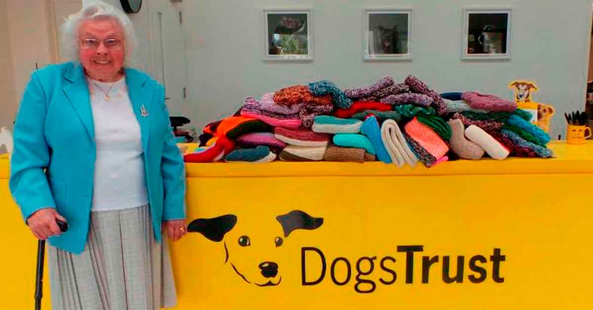 Una abuelita teje 45 abrigos para perros