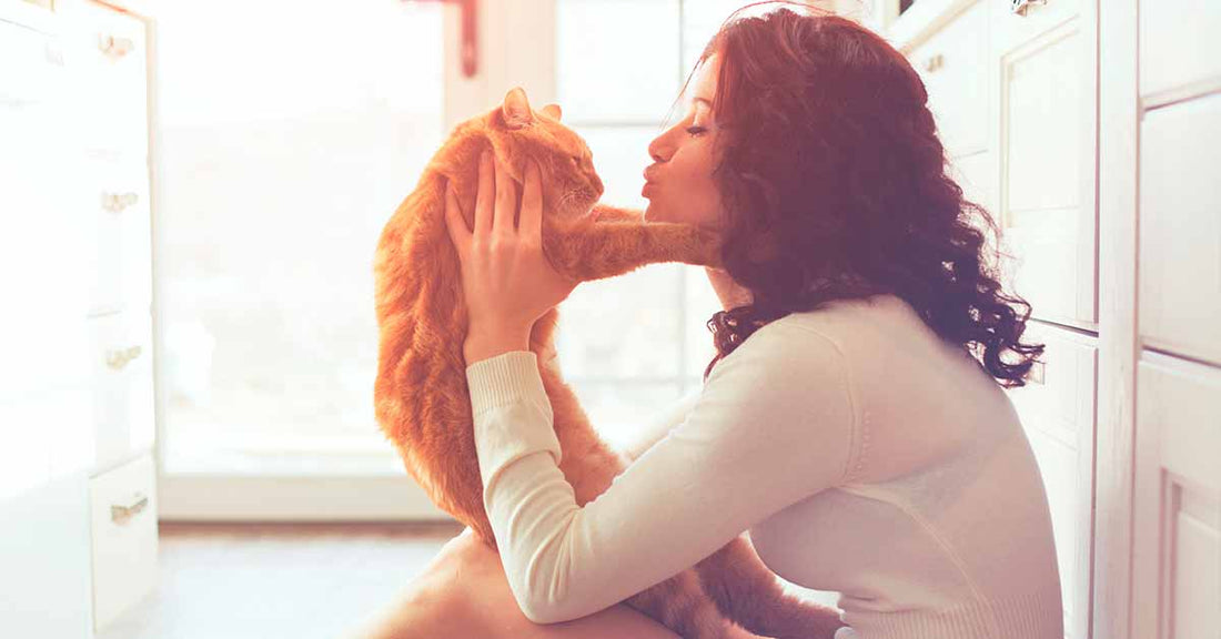Ideas para regalar a tu mascota