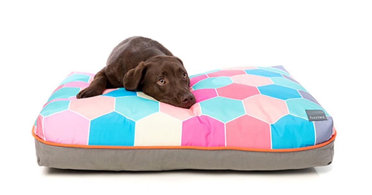 cama de perro desenfundable
