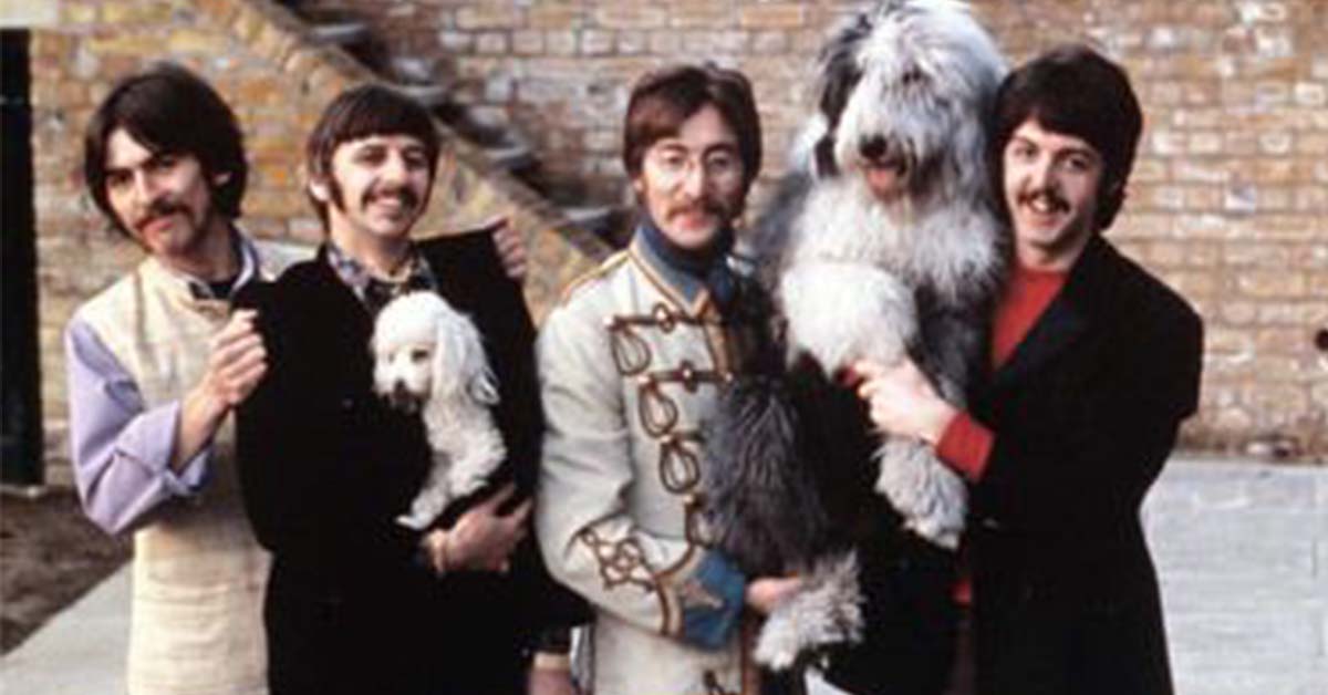 10 canciones a perros y gatos