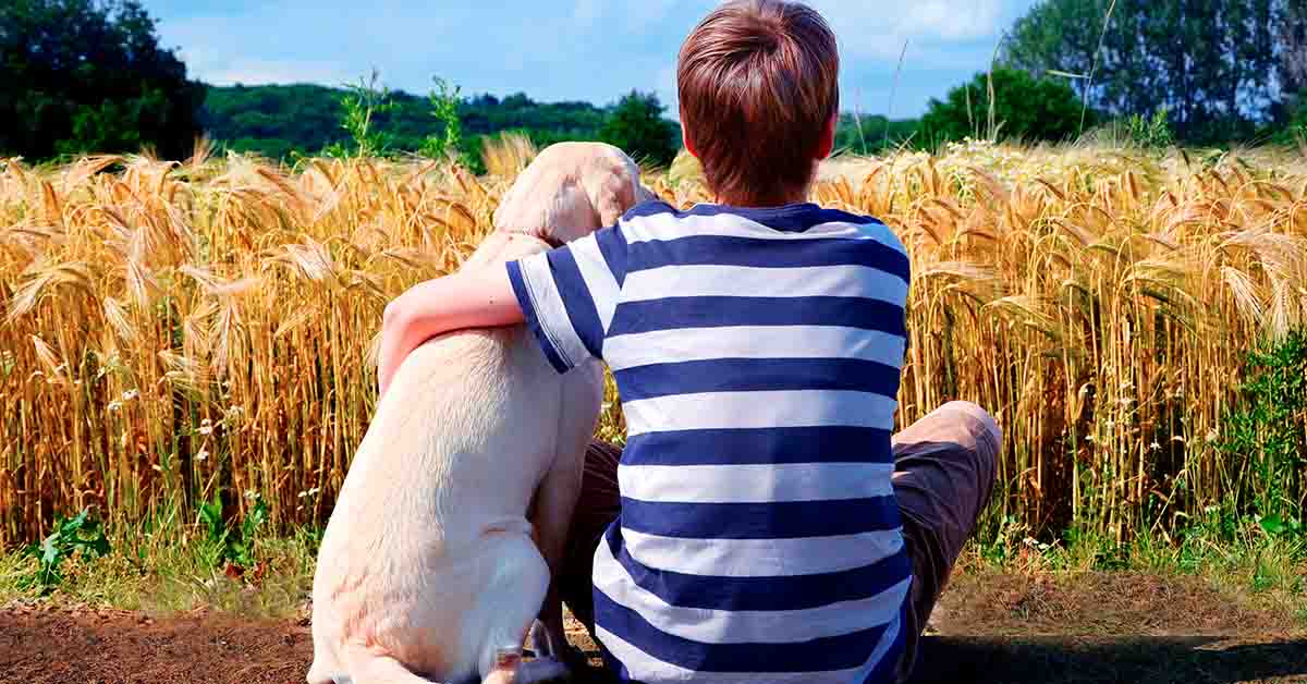 terapias de universitarios con perros