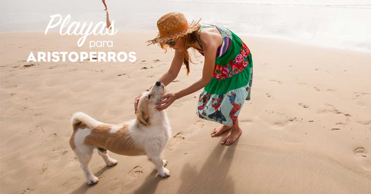 Playas para perros 2019: GERONA