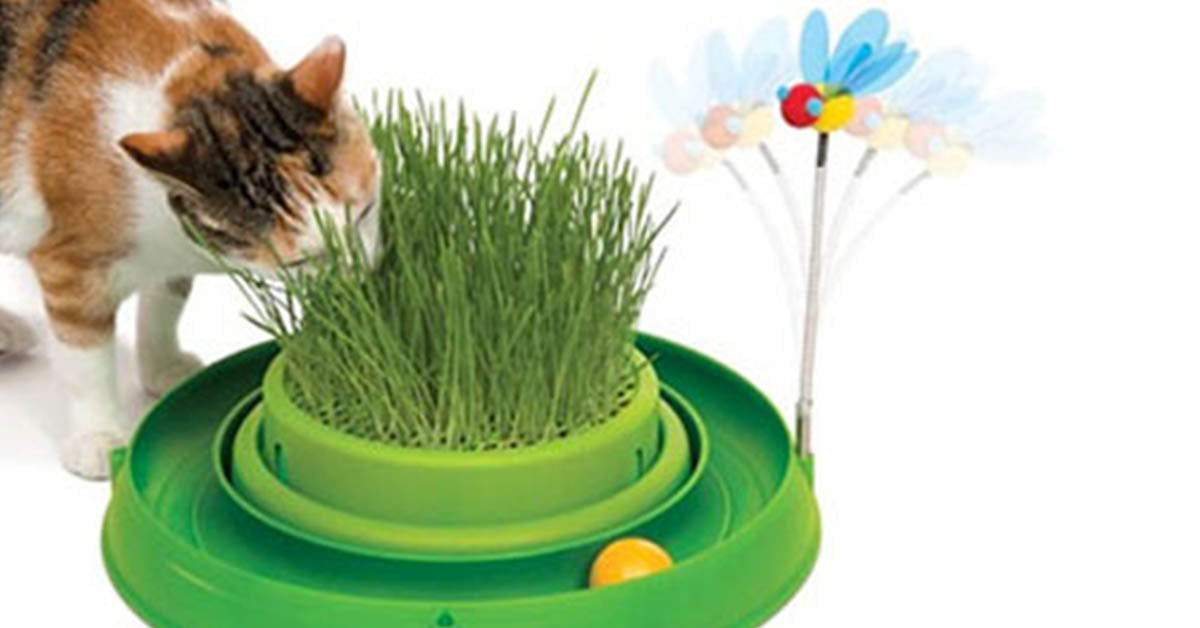 Diez juguetes para entretener a tu gato