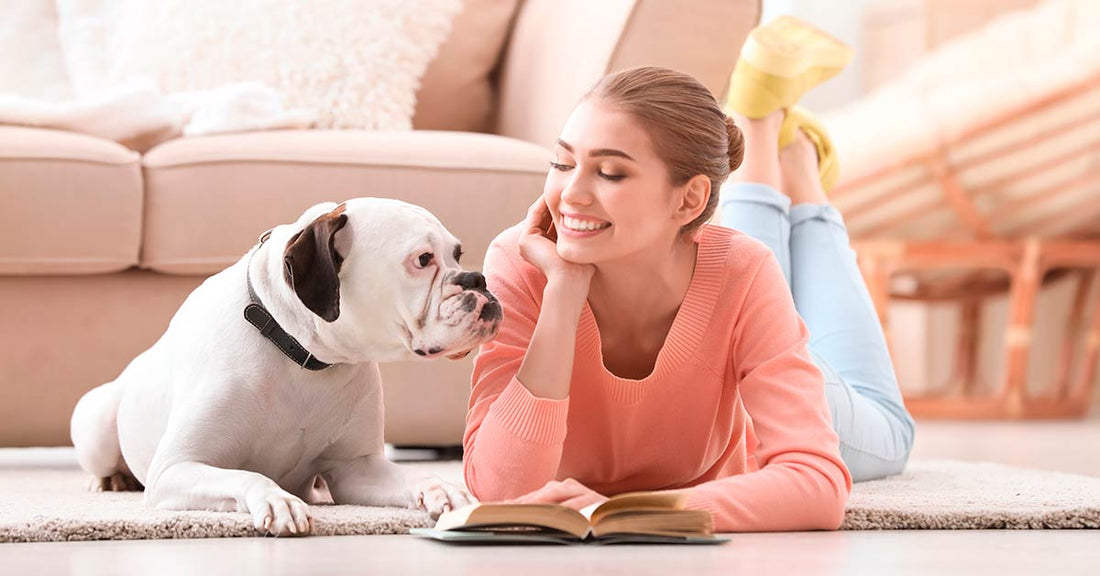 libros sobre mascotas