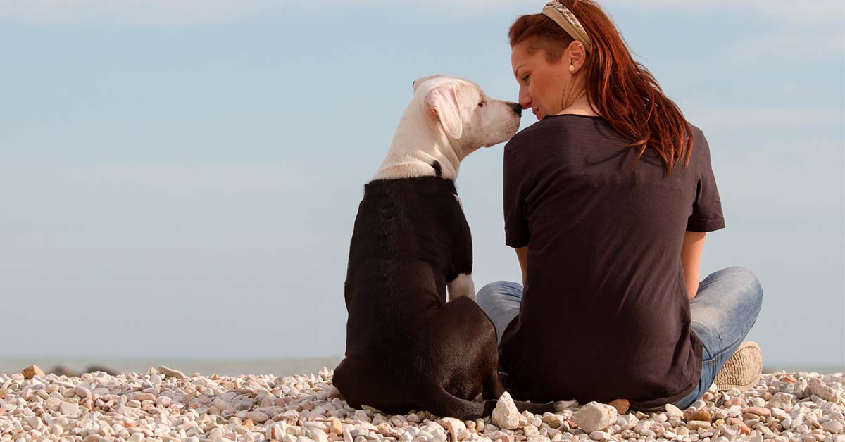 la personalidad de los perros cambia