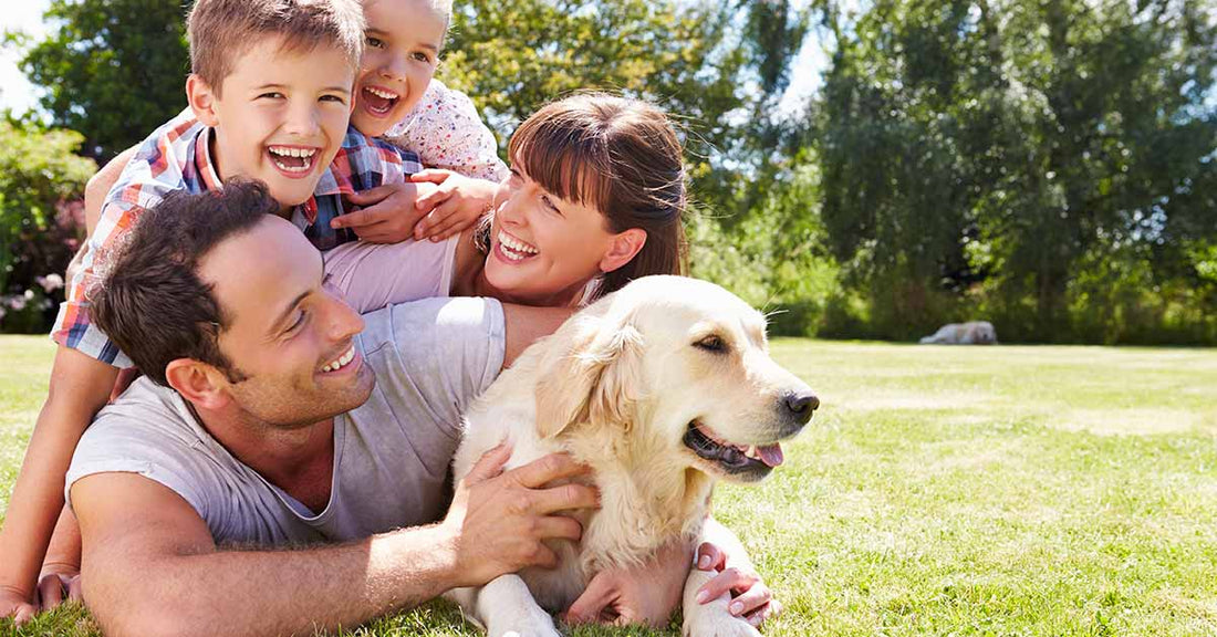 planes para hacer con tu mascota en Semana Santa