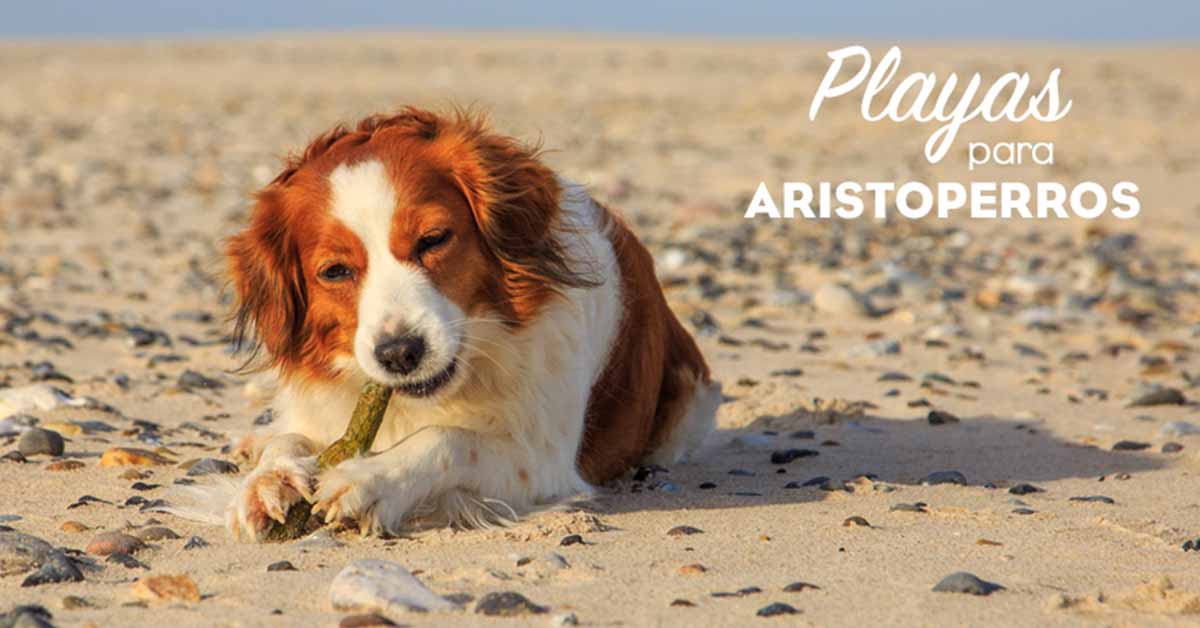 Playas para perros 2019: ALMERÍA