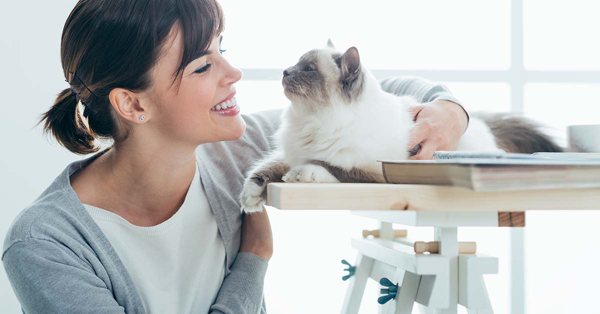 10 beneficios de tener una mascota