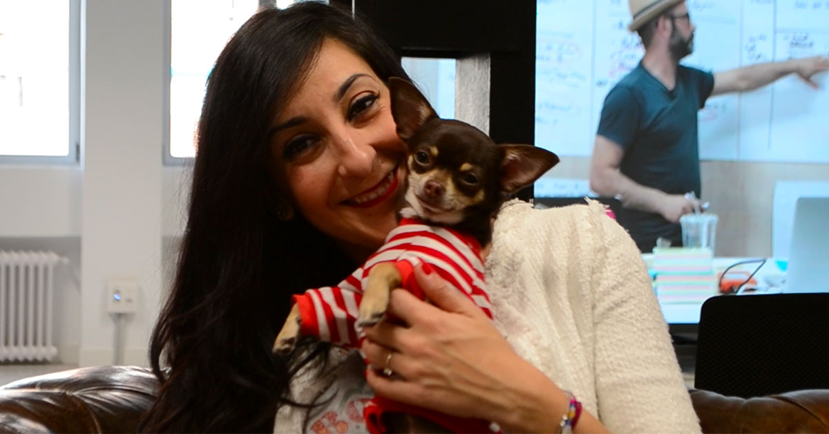 algunas empresas PET FRIENDLY de Madrid