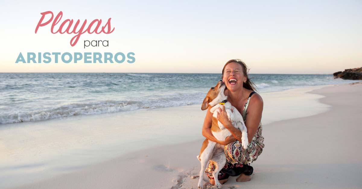 Playas para perros 2019: VALENCIA