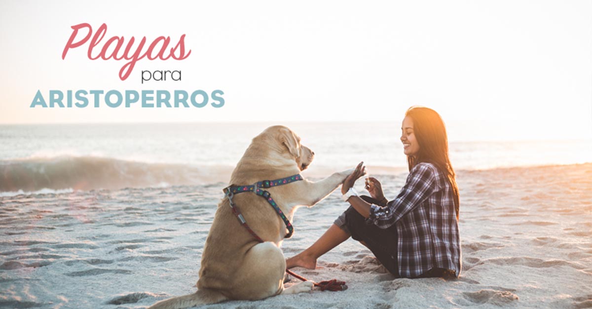 Playa para perros 2019: GRANADA
