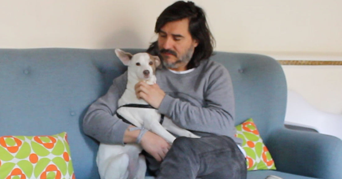 Empresas Pet Friendly de Madrid