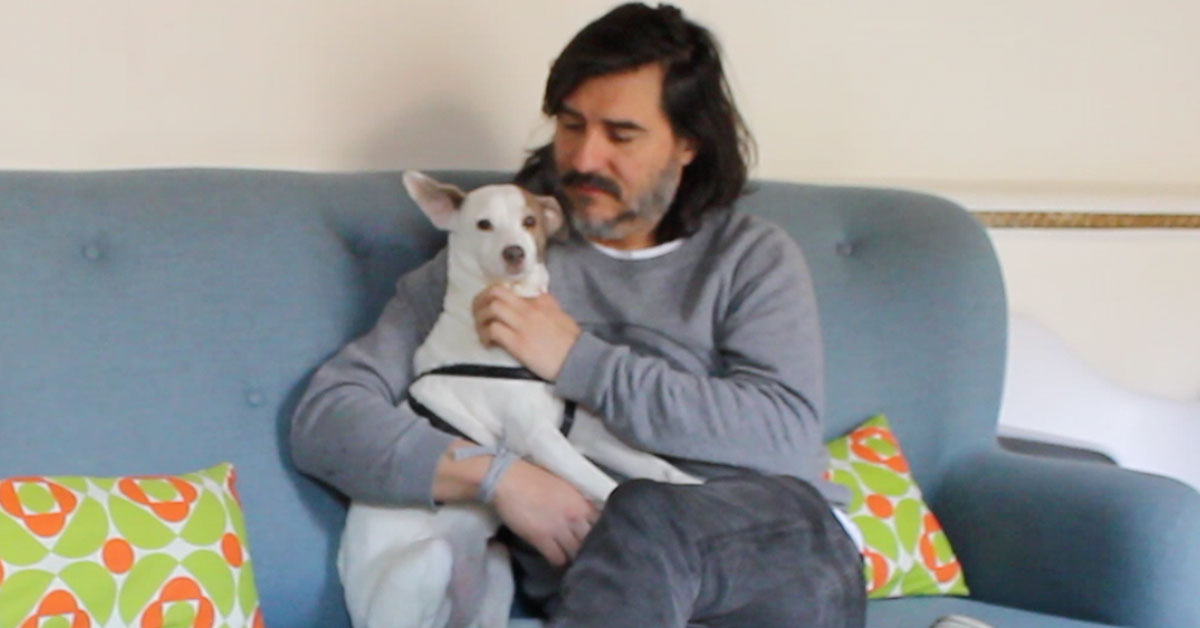 Empresas Pet Friendly de Madrid