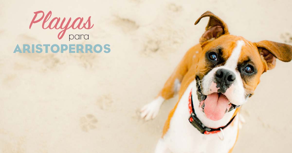 Playas para perros 2019: HUELVA