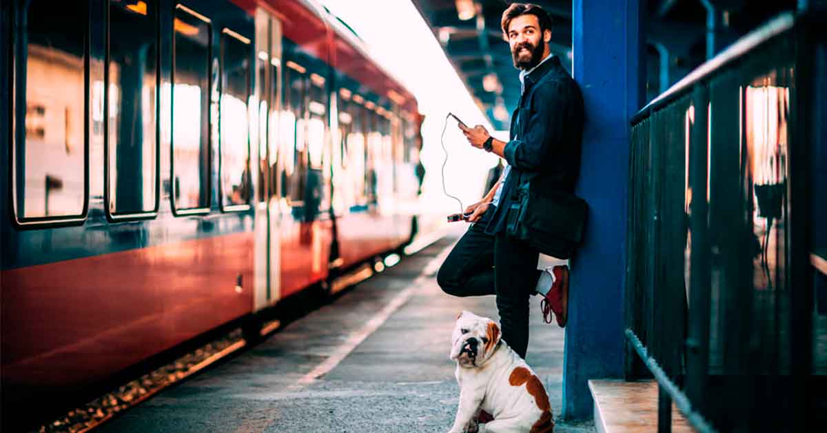 Cómo viajar en transporte público con tu perro