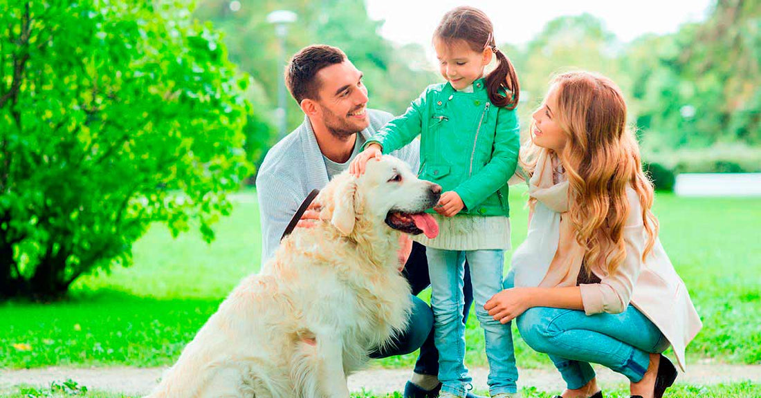 Consejos para que tu hijo no tenga miedo a los perros
