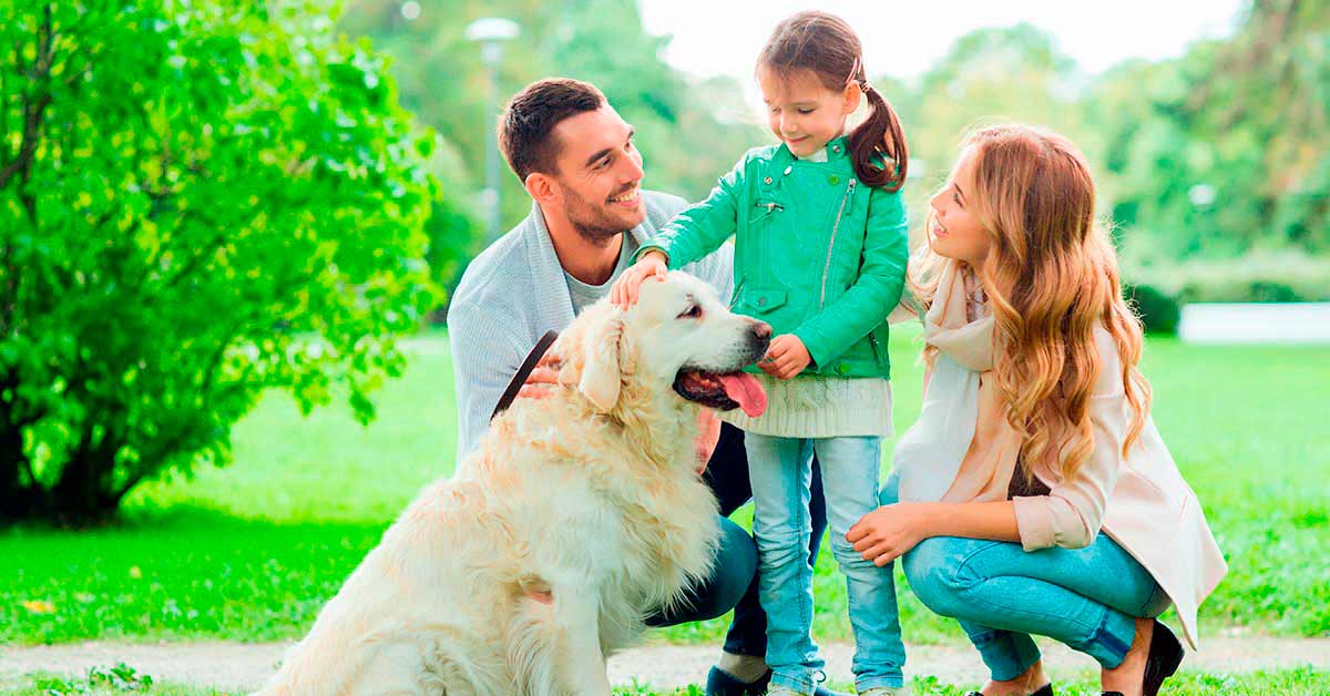 Consejos para que tu hijo no tenga miedo a los perros