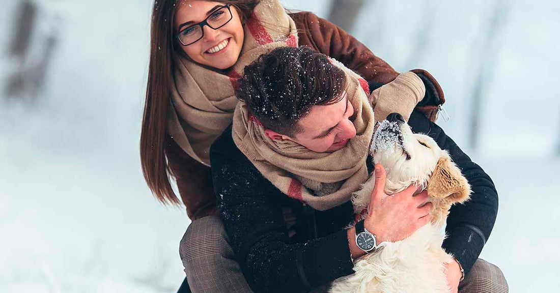 consejos para ir a la nieve con tu perro