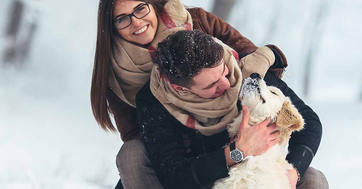 consejos para ir a la nieve con tu perro