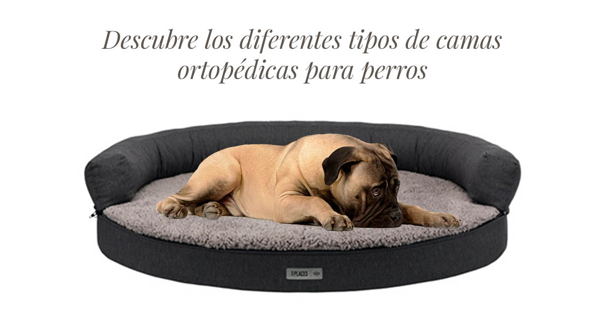 camas ortopédicas para perros
