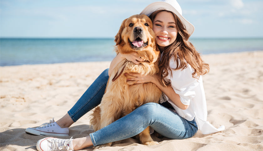 Cómo viajar en avión con tu mascota