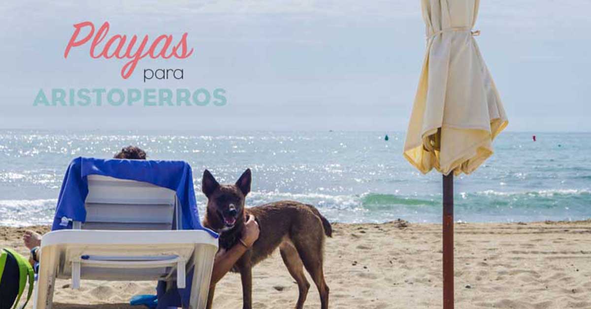 Playas para perros 2019: ALICANTE