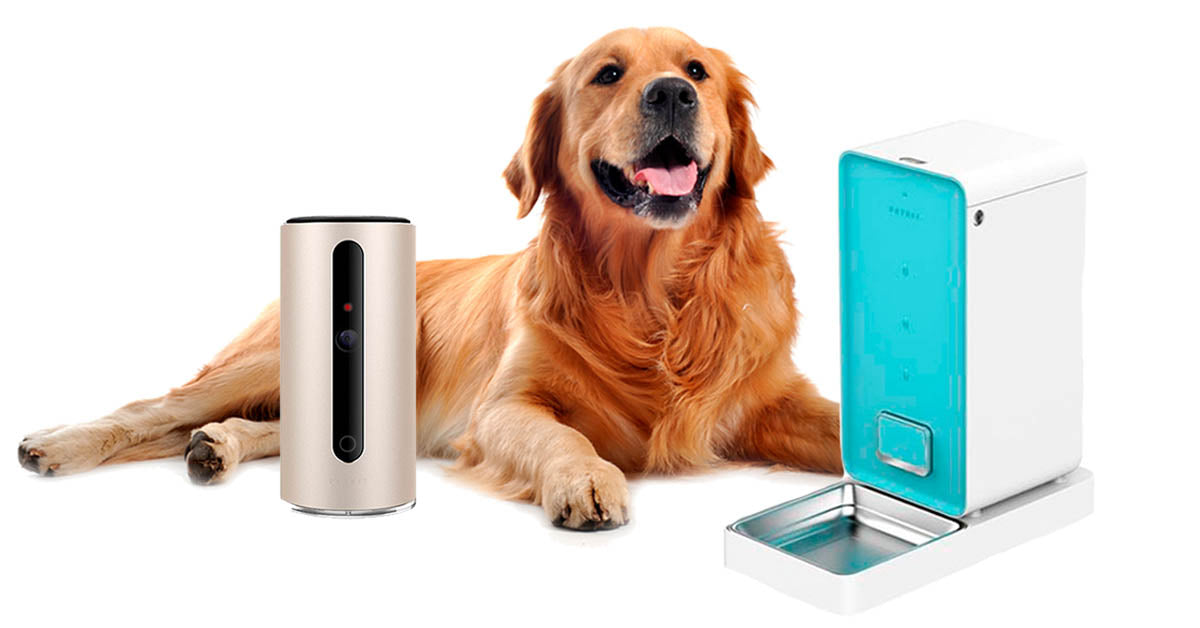 accesorios tecnológicos para las mascotas