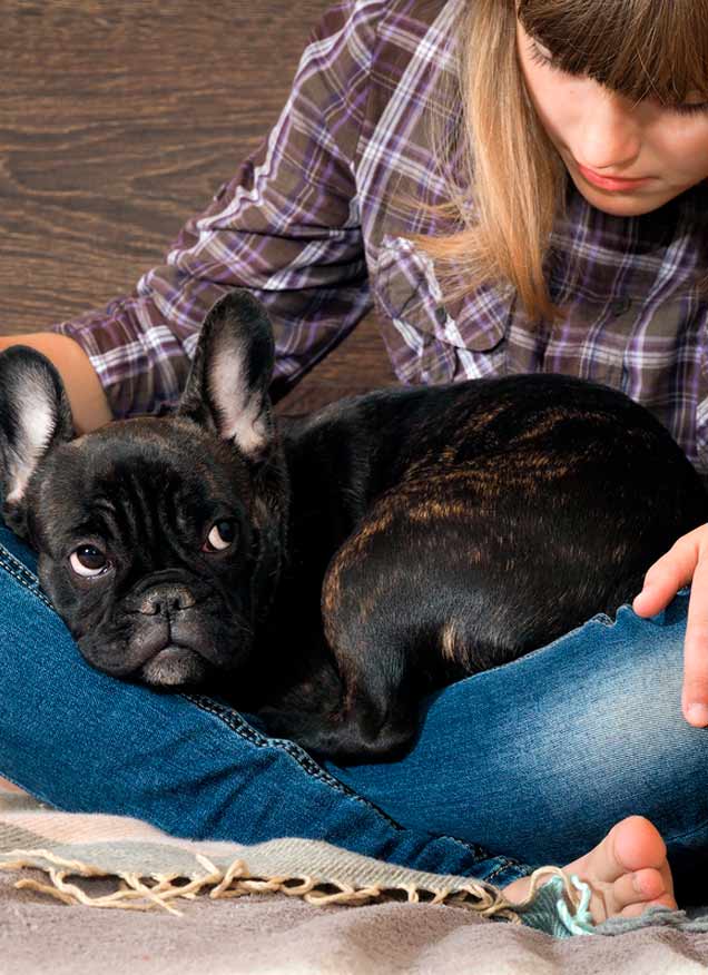 Sentimos más empatía por los perros que por nuestros semejantes