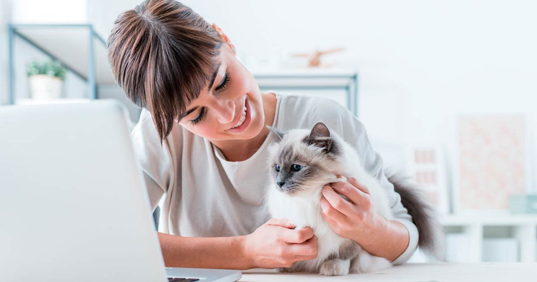 Las mejores prácticas para que tu empresa sea pet friendly