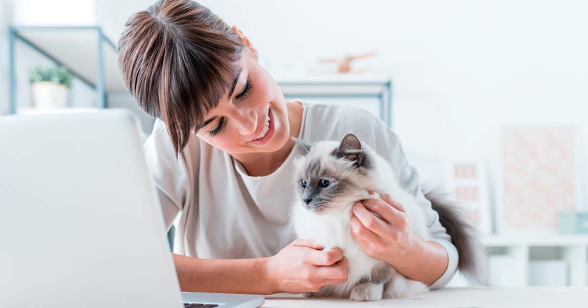 Las mejores prácticas para que tu empresa sea pet friendly