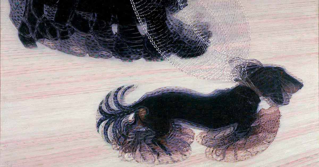 ARISTOPETS en la pintura: Las Vanguardias